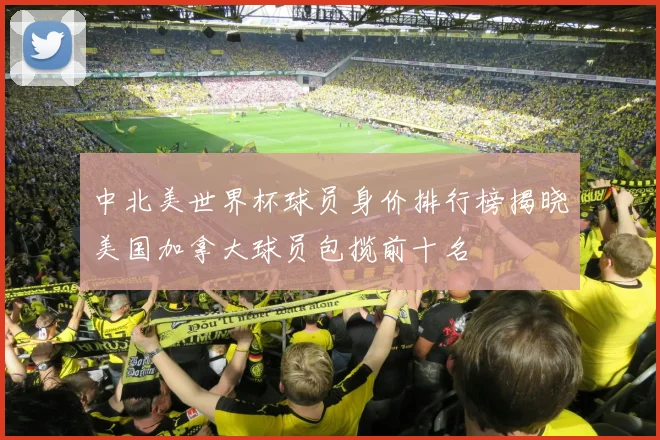 中北美世界杯球员身价排行榜揭晓美国加拿大球员包揽前十名